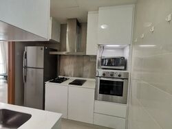 Park Infinia At Wee Nam (D11), Condominium #561259741